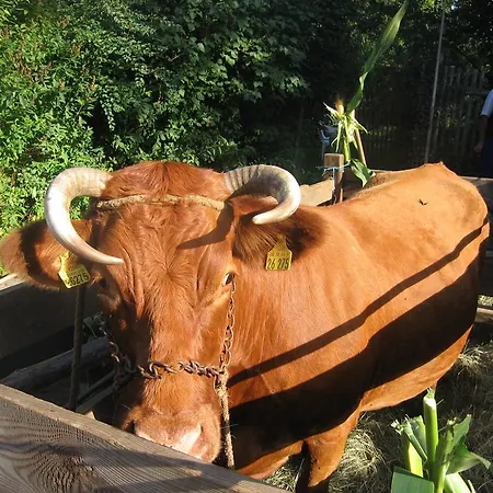 Spreewald Am Spreeschloesschen לובנאו