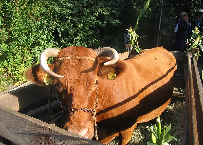 Spreewald Am Spreeschloesschen Lübbenau